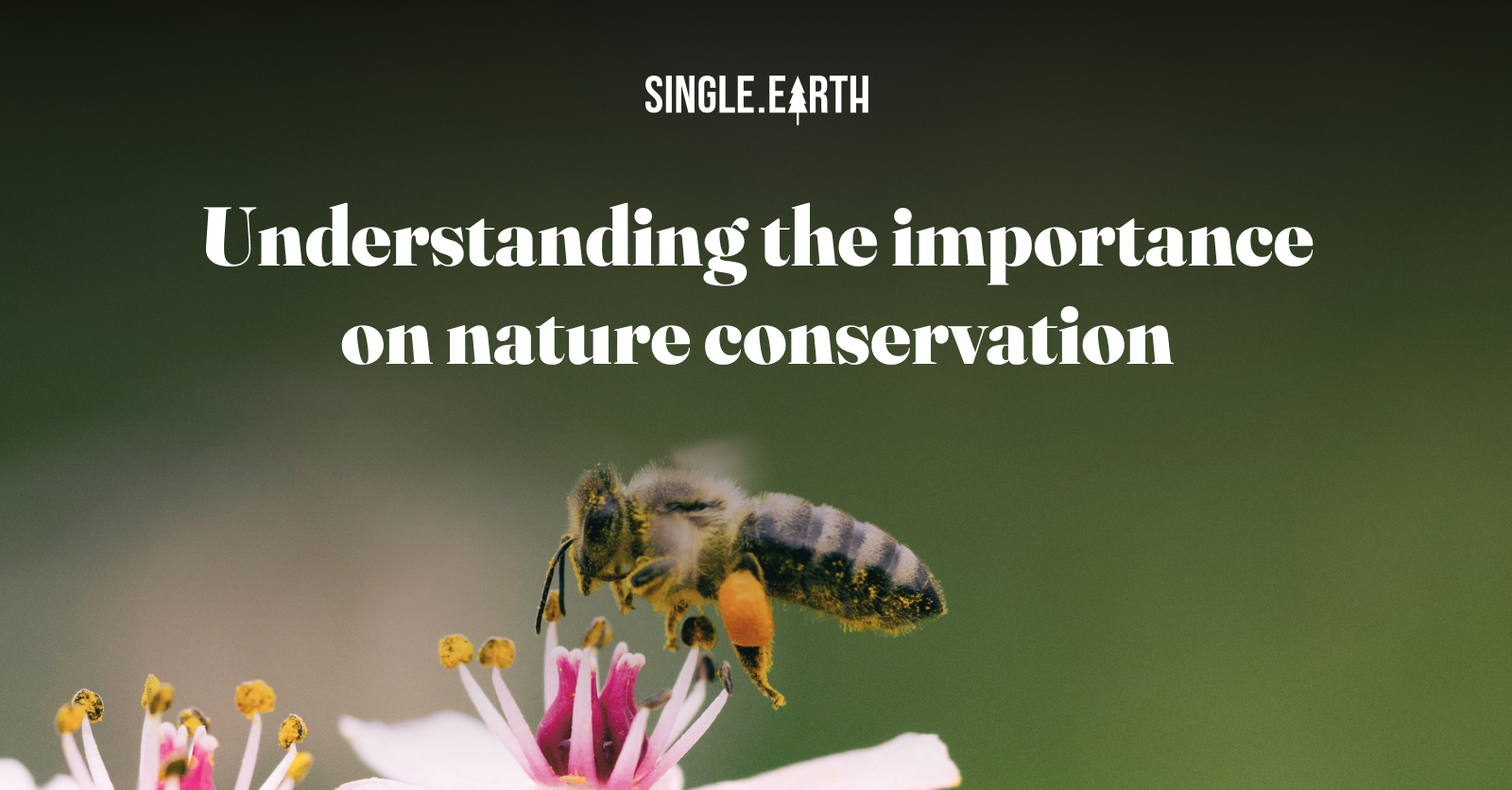 Understanding Nature Conservation: Why is Nature Conservation Important?